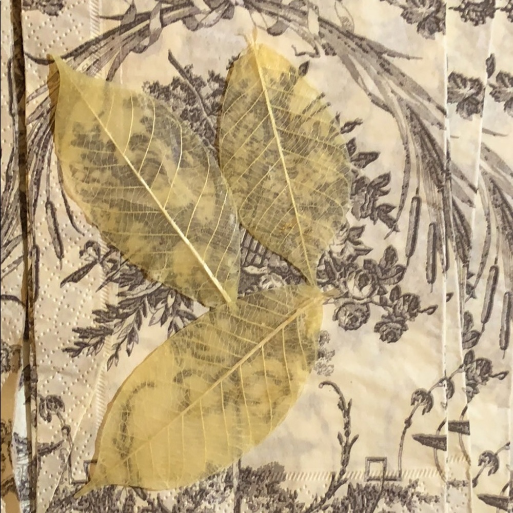 Beautiful French leaf soaps